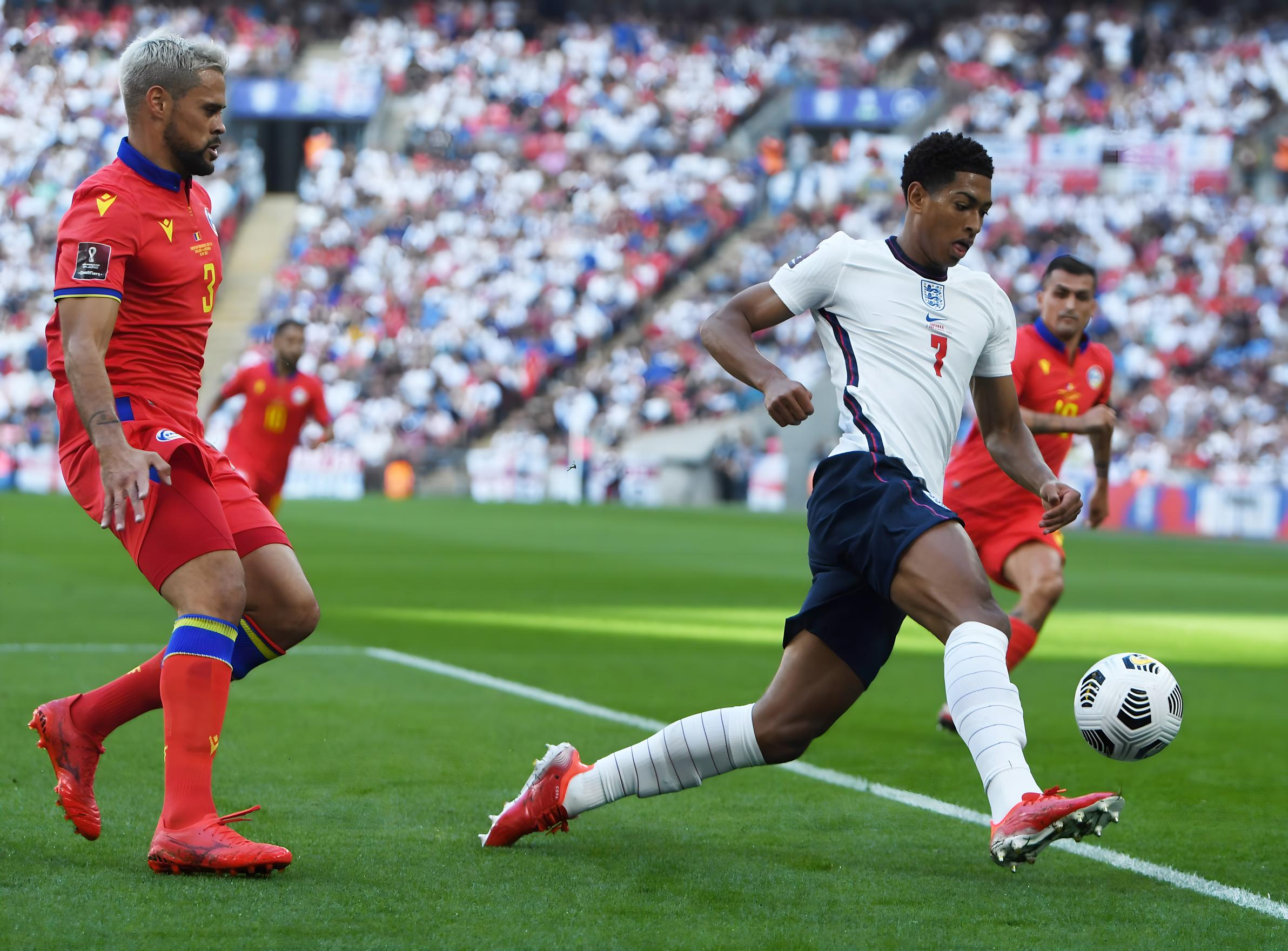 国游泳锦标 国游泳锦标